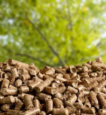 biofuel-biomass